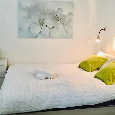Flat In The Heart Of *